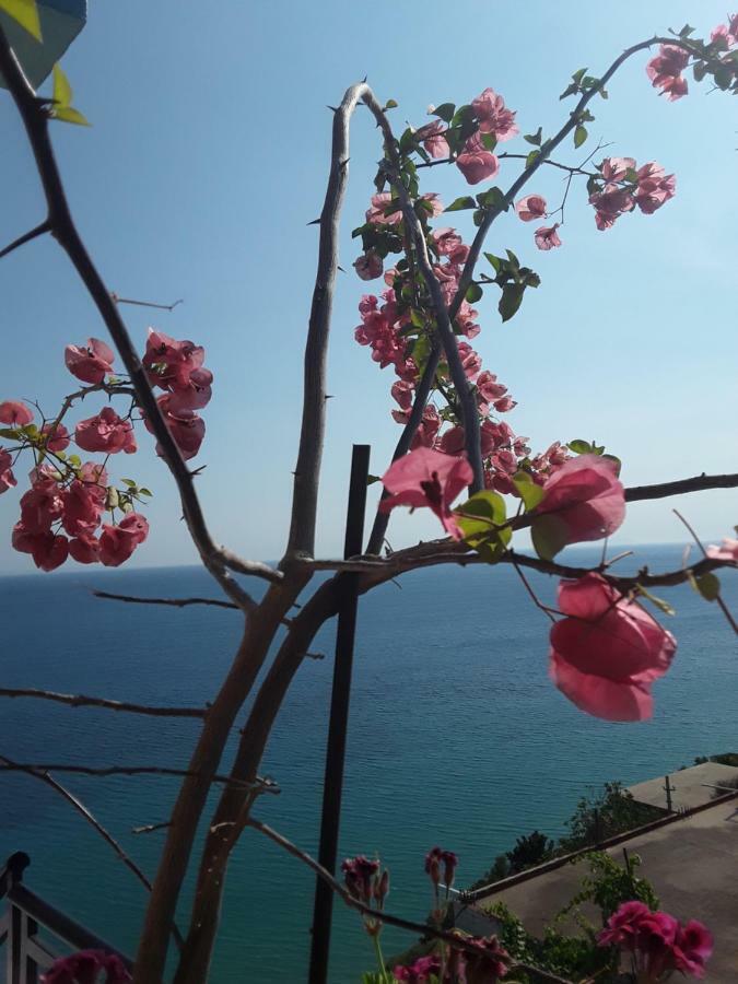 Odhisea Hotel Restaurant ケパロ エクステリア 写真